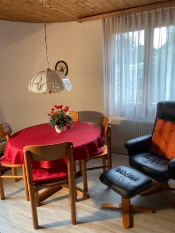 Apartament Studio Elsighorn Frutigen Zewnętrze zdjęcie