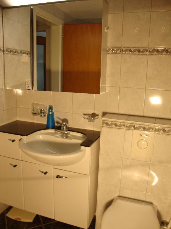 Apartament Studio Elsighorn Frutigen Pokój zdjęcie